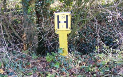 Fire Hydrant Testing  – Your questions answered